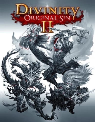 Descargar Divinity Original Sin 2 por Torrent