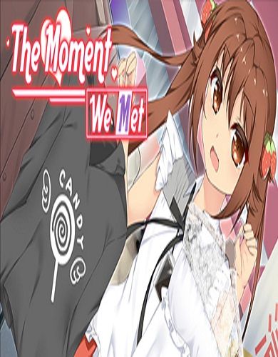 Descargar The Moment We Met por Torrent