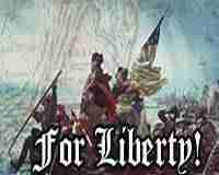 Descargar For Liberty por Torrent